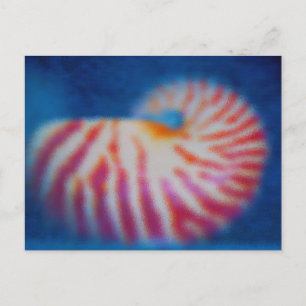 Postal Shell de mar