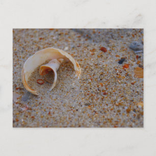 Postal Shell de playa