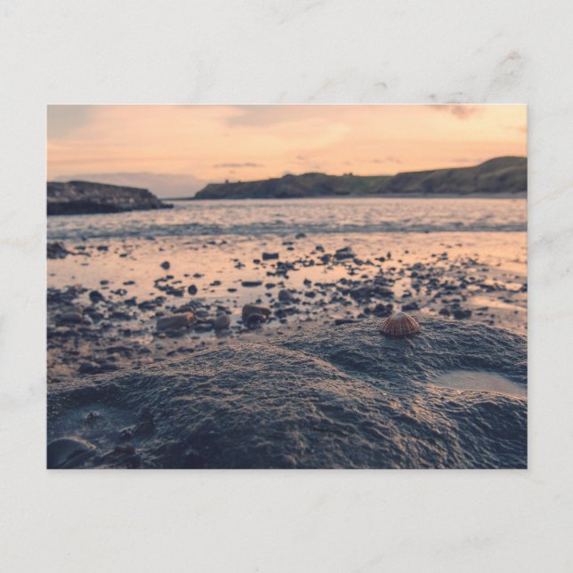 Postal Shell en el mar del Norte (Anverso)