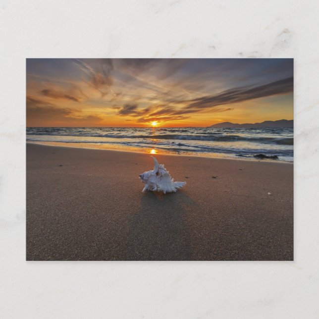 Postal Shell En La Playa Al Azar | Isla Kos (Anverso)