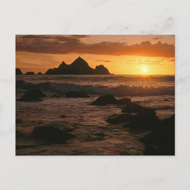 Postal Shelter Cove (Anverso)