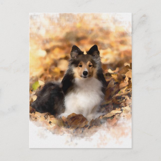 Postal Sheltie Shetland Sheepdog Art Painting (Anverso)