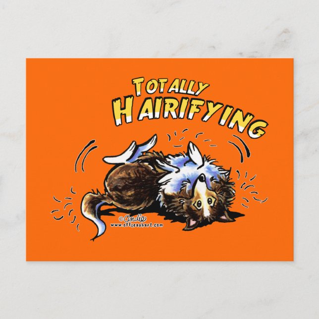 Postal Sheltie Totalmente Hairifying (Anverso)