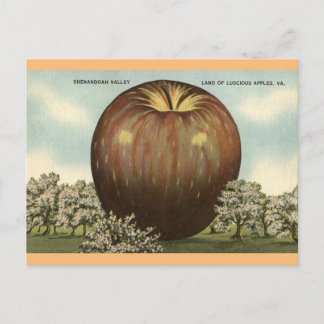 Postal Shenandoah Valley, Virginia Giant Apple Postcard