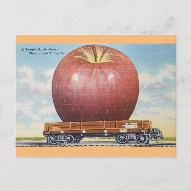 Postal Shenandoah Valley, Virginia Giant Apple Postcard (Anverso)