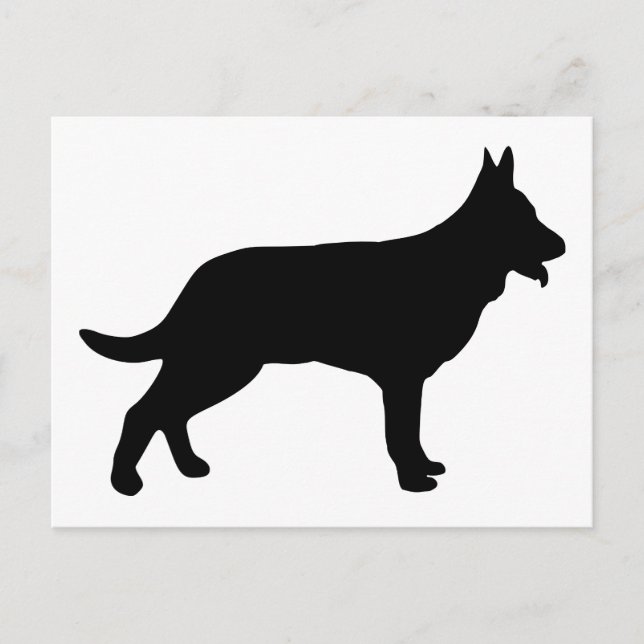 Postal Shepherd (Anverso)