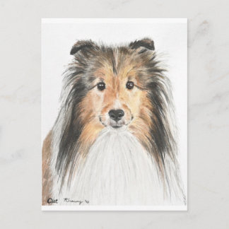 Postal Shetland Sheepdog