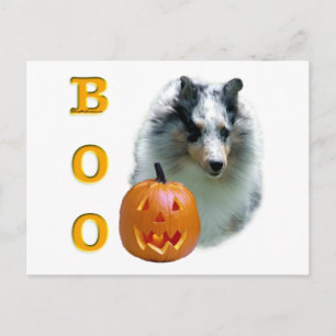 Postal Shetland Sheepdog (merle) Boo
