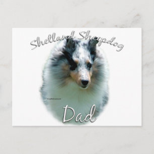 Postal Shetland Sheepdog (merle) Dad 2