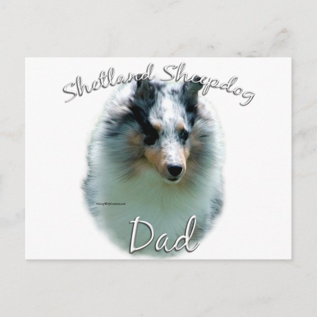 Postal Shetland Sheepdog (merle) Dad 2 (Anverso)