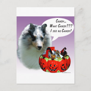 Postal Shetland Sheepdog (Merle) HalloweenCandy