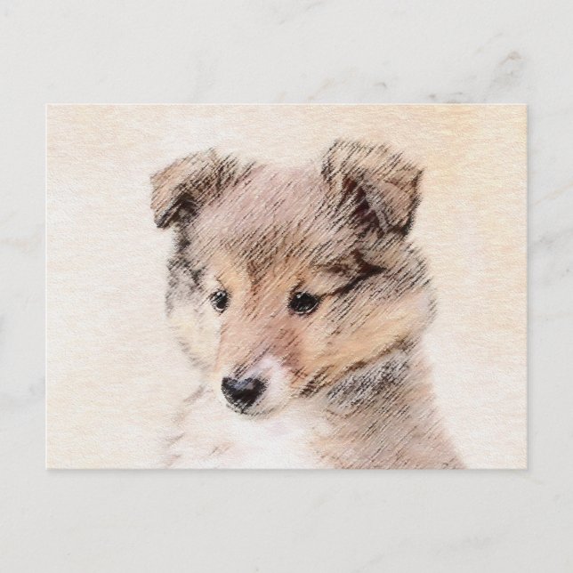 Postal Shetland Sheepdog Puppy Pintura Original Perro Art (Anverso)