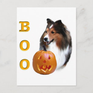 Postal Shetland Sheepdog (sable Boo)