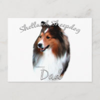 Shetland Sheepdog (sable) Papá 2