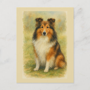 Postal Shetland Sheepdog Sentado Acuarela 