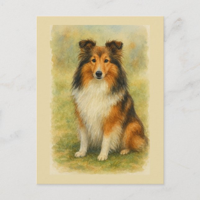 Postal Shetland Sheepdog Sentado Acuarela  (Anverso)