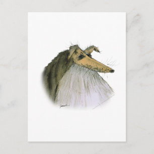 Postal Shetland Sheepdog, tony fernandes