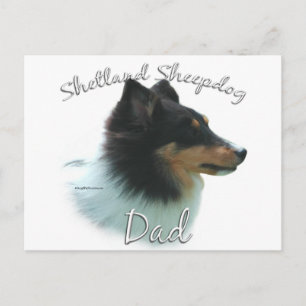 Postal Shetland Sheepdog (tri) Dad 2