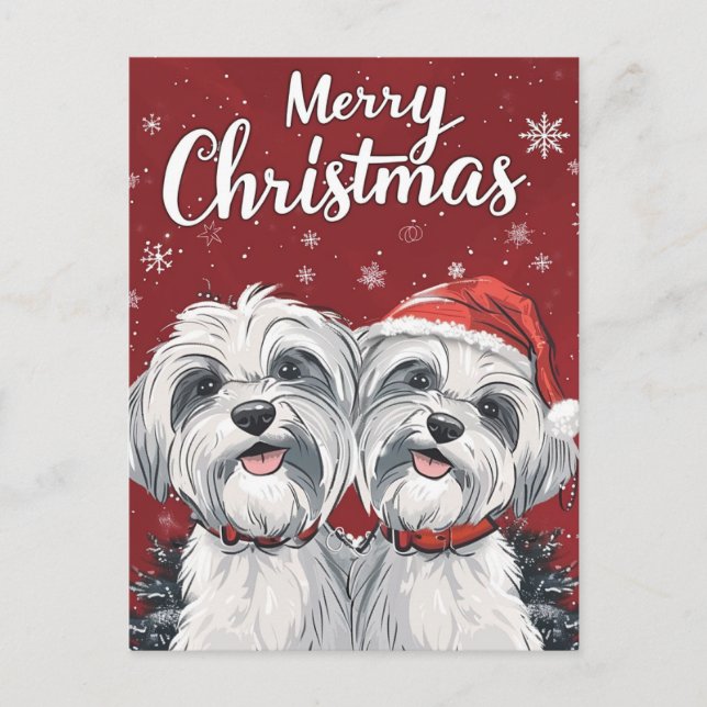 Postal Shi Tzu Feliz Navidad (Anverso)