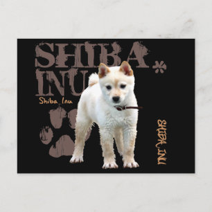 Postal Shiba Inu
