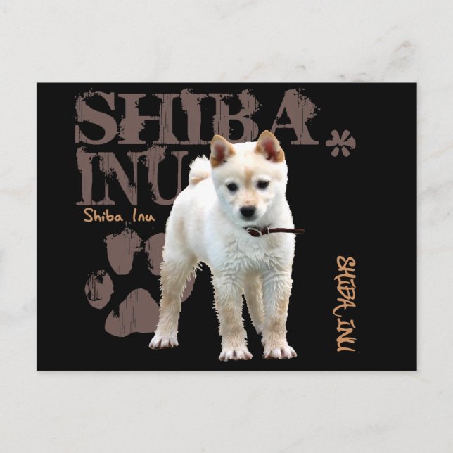 Postal Shiba Inu (Anverso)