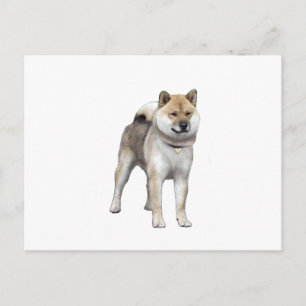 Postal Shiba Inu (C)