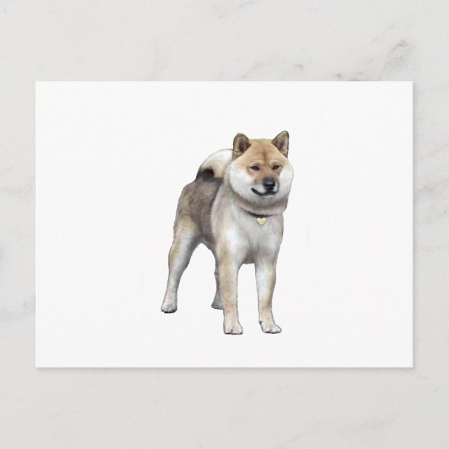Postal Shiba Inu (C) (Anverso)