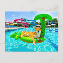 Shiba Inu en flotador de palma