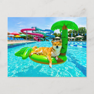 Postal Shiba Inu en flotador de palma