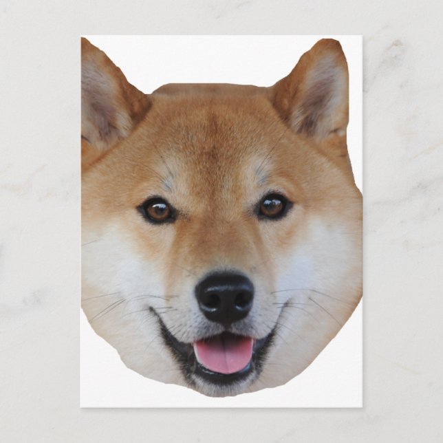 Postal shibe.png (Anverso)