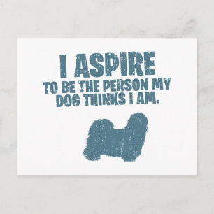 Postal Shih Tzu