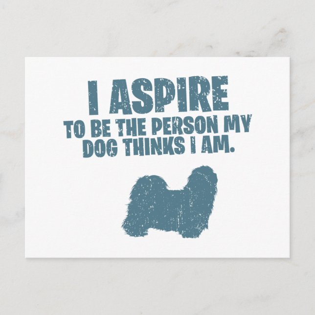 Postal Shih Tzu (Anverso)