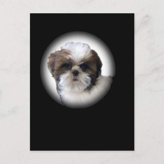 Postal Shih-Tzu (Anverso)