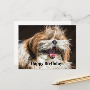 Postal Shih tzu bostezando riendo divertido Feliz cumplea