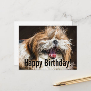 Postal Shih tzu bostezando riendo divertido Feliz cumplea