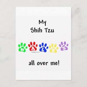 Postal Shih Tzu Camina Por Todo Ti