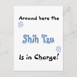 Postal Shih Tzu Charge