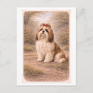 Postal Shih Tzu de estilo vintage