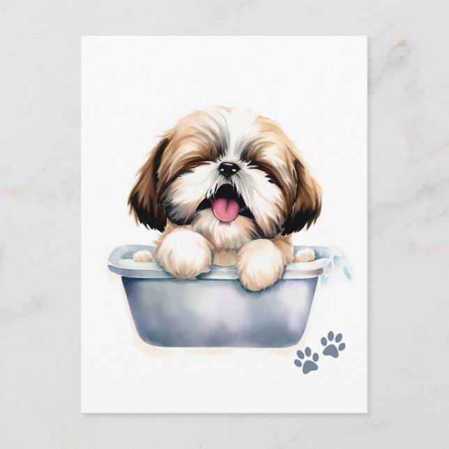 Postal Shih Tzu Dog (Anverso)