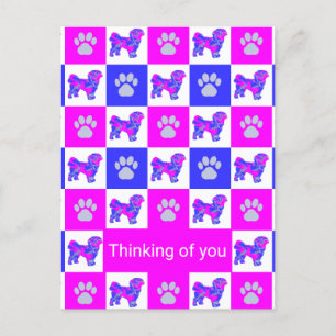 Postal Shih Tzu Dog & Paw Pink & Blue Thight