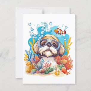 Postal Shih Tzu Dog Snorkeling Coral Reef