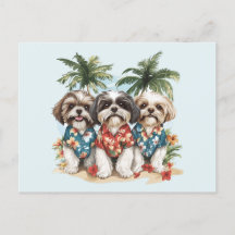 Shih Tzu Dogs con Camisetas hawaianos