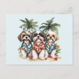 Postal Shih Tzu Dogs con Camisetas hawaianos