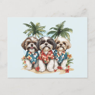 Postal Shih Tzu Dogs con Camisetas hawaianos
