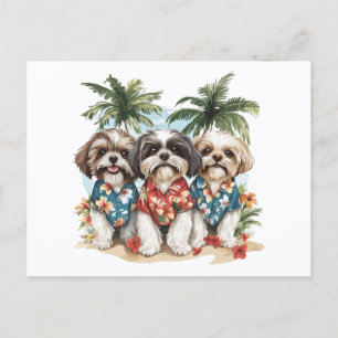 Postal Shih Tzu Dogs con Camisetas hawaianos