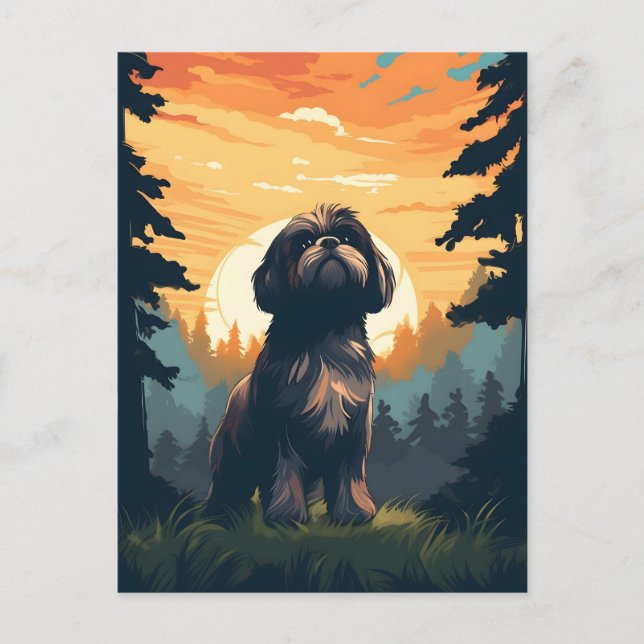 Postal Shih Tzu en el bosque durante la puesta de sol (Anverso)