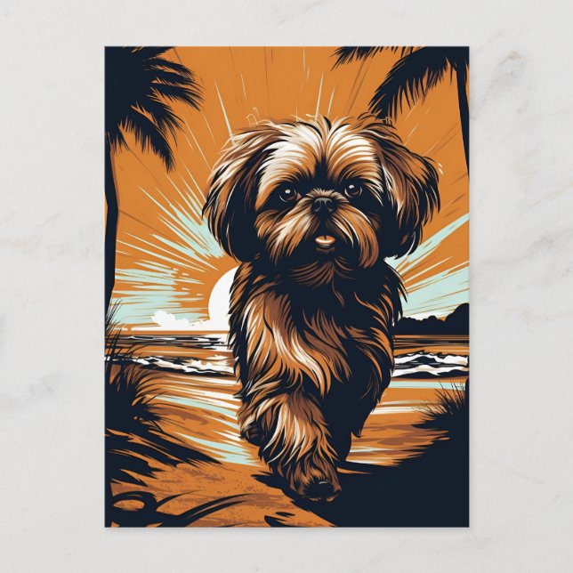 Postal Shih-tzu en la playa (Anverso)