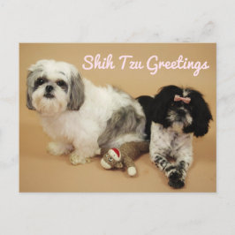Postal Shih Tzu Greetings