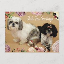 Postal Shih Tzu Greetings