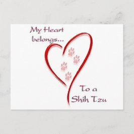 Postal Shih Tzu Heart Pertenece
